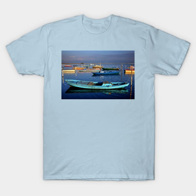 Gaitas in the lagoon of Messolonghi T-Shirt by Cretense72